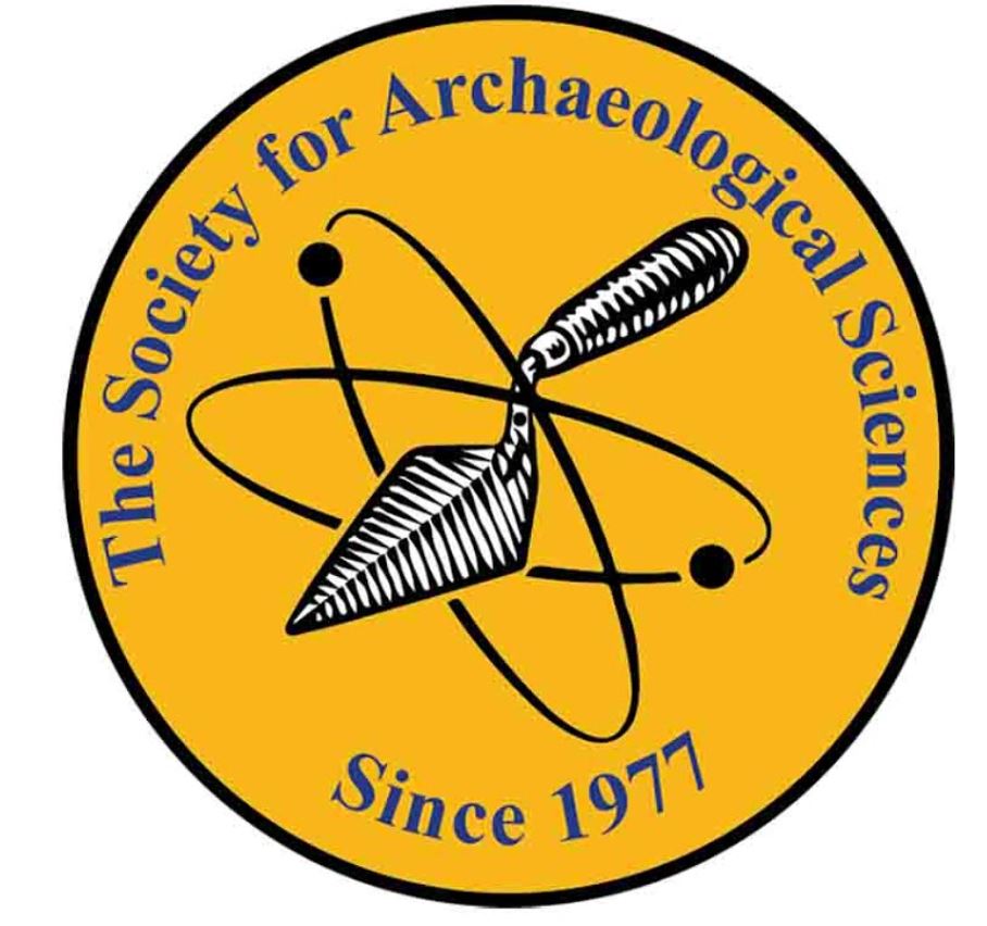 sas logo